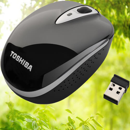 Wireless Mouse -Toshiba W25 Blue LED Technology – Black