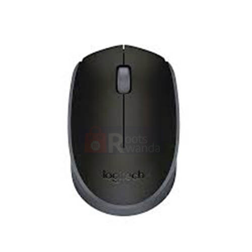 M171 Logitech Wireless Mouse